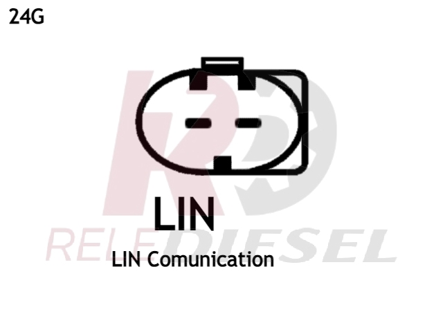 Conector 24G (LIN–)